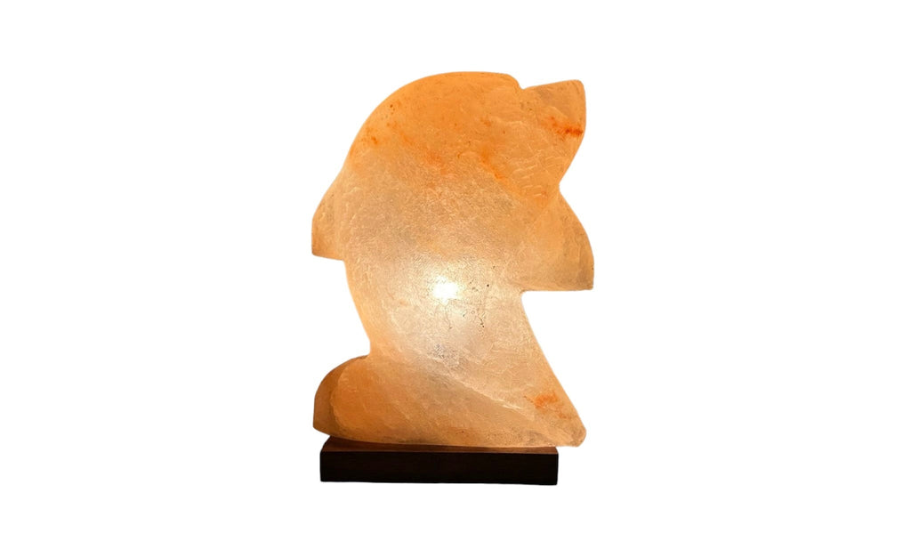 Natural Himalayan Salt Lamp - Dolphin Shaped Decorative Night Light for Home & Wellness